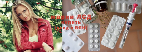 спайс Аркадак